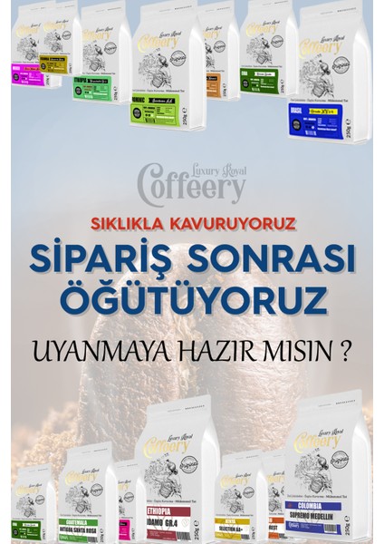 House Blend Yumuşak Içim Filtre Kahve (Öğütülmüş)