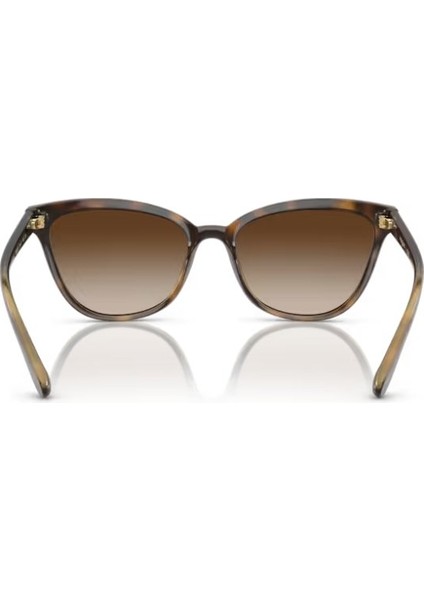 VO5496SI W65613 54 Güneş Gözlüğü modelleri