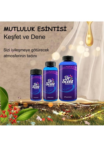 Dr Scent Koku Makinesi Yeni Gold Kokusu 170 ml