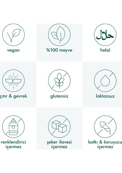 Incir Kuru Meyve Cipsi - Dondurularak Kurutulmuş Freeze Dried Çıtır Incir
