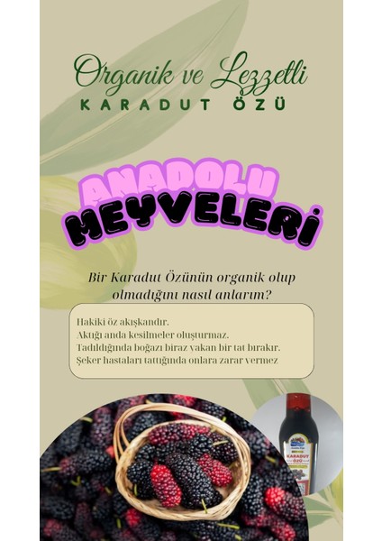 Anadolu Meyveleri Karadut Özü Doğal Organik 500 ml 700 gram