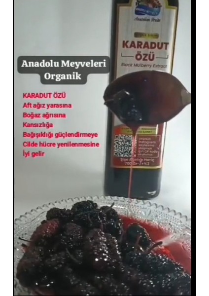 Anadolu Meyveleri Karadut Özü Doğal Organik 500 ml 700 gram