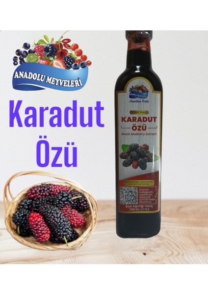 Anadolu Meyveleri Karadut Özü Doğal Organik 500 ml 700 gram