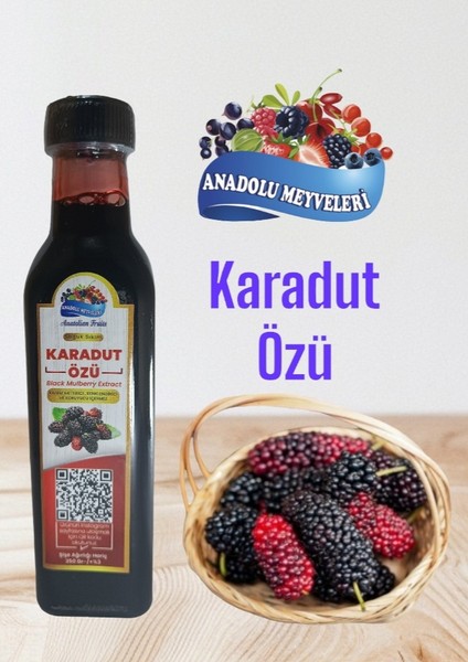 Anadolu Meyveleri Karadut Özü Doğal Organik 500 ml 700 gram