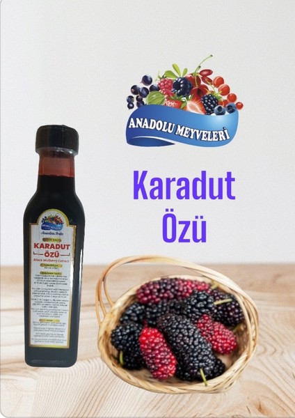 Anadolu Meyveleri Karadut Özü Doğal Organik 500 ml 700 gram