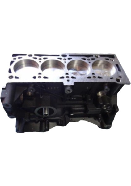 Renault 110108138R Motor Bloğu