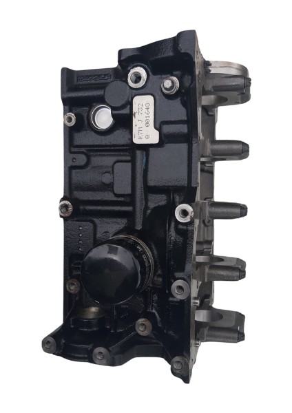 Renault 110108138R Motor Bloğu