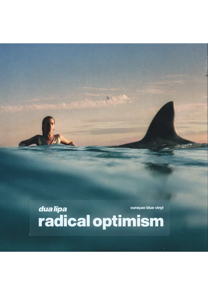 Dua Lipa - Radical Optimism (Plak)