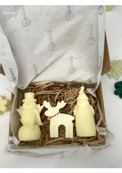 Chemdle Hediye Mum Sepeti