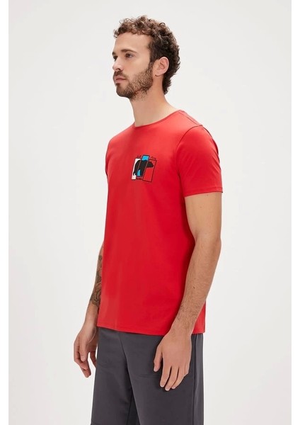 Grizzle Kızıl Kırmızı Erkek Tişört fiyatları