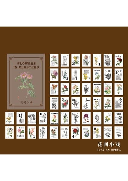 No.2 Tarzı Yaratıcı Vintage Yapraklar Yazma Not Bitkiler Çiçekler Not Defteri Şeffaf Sülfürik Asit Kağıt Gevşek Yaprak Notlar (Yurt Dışından)