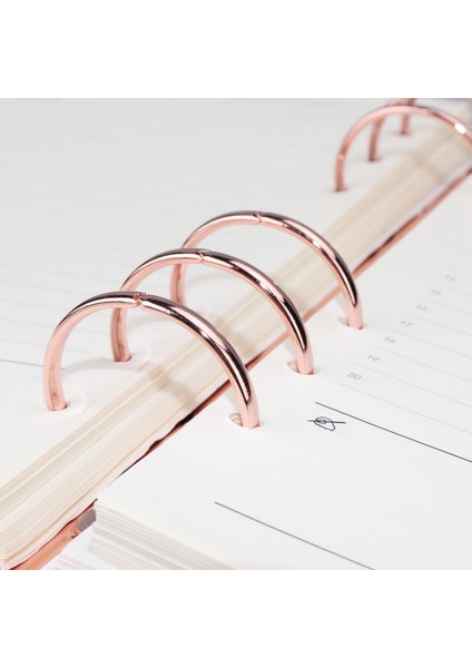 Gül Altın-21 mm Yüzük Stili A5 Köpekbalığı A5 A6 Binder Kapak Pp Yumuşak Organizer Günlük Halka Bullet Şeffaf Kılıf Gezi Defteri Ajanda Kırtasiye Malzemeleri (Yurt Dışından) fırsatları