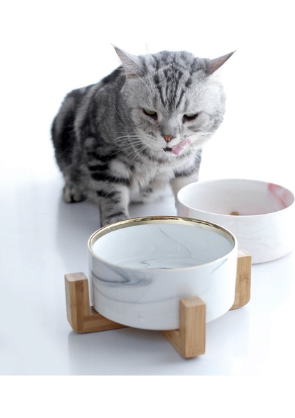 Stand Tarzı 850ML Kedi Köpek Köpek Kedi Yavru Su Mama Içme Küçük Hayvan Dağıtıcısı Çift Kase Için Mermerleme Seramik Çift Kase Çok Fonksiyonlu Evcil Hayvan Ürünü #P005 (Yurt Dışından) modelleri