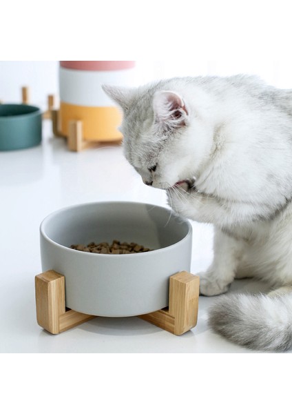 Pembe Tarzı 400ML Küçük Kedi Seramik Köpek Mama Kabı Evcil Hayvan Malzemeleri Kedi Yavru Yiyecek Su Kapları Depolama Su Kabı Aksesuarlar Hayvan Malzemeleri #P003 (Yurt Dışından) fiyatları