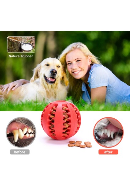 Kırmızı Stil M-6cm Köpek Diş Temizleme Topu Yumuşak Evcil Köpek Oyuncağı Etkileşimli Kauçuk Top Yavru Çiğneme Oyuncakları Top Gıda Çok Dayanıklı Kauçuk Top Köpek (Yurt Dışından) modelleri