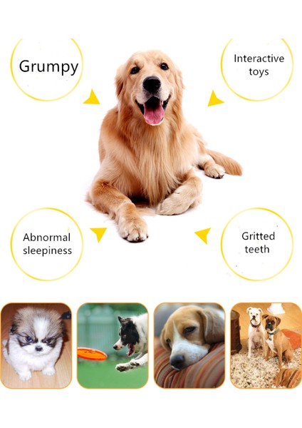 Kırmızı 70MM Çap Stili Hayvanlar Oyun Ürünleri Canavar Squeak Etkileşimli Kedi Maması Dağıtıcı Köpek Oyuncak Topu Çocuklar Için Pitbull Golden Retriever Popüler Oyuncaklar (Yurt Dışından) fırsatları
