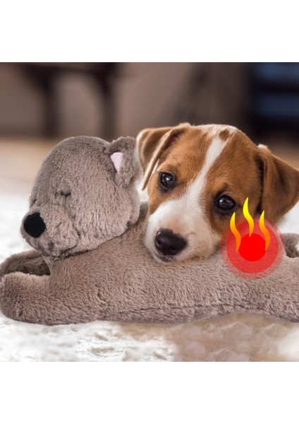 C Kalp Atışı Stili En Yeni Köpek Oyuncak Peluş Oyuncak Rahat Davranış Eğitimi Yardım Oyuncak Kalp Atışı Yatıştırıcı Isıtma Peluş Bebek Uyku Için Köpekler Kediler Için (Yurt Dışından)