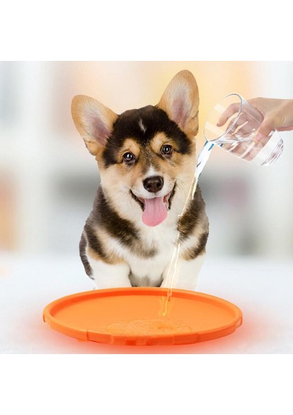 Mor Tarzı Çap 15CM Esnek Kauçuk Uçan Disk Köpek Oyuncakları 4 Renk Yüzen Katlanabilir Uçurtma Diski Etkileşimli Eğitim Pet Köpek Malzemeleri (Yurt Dışından)