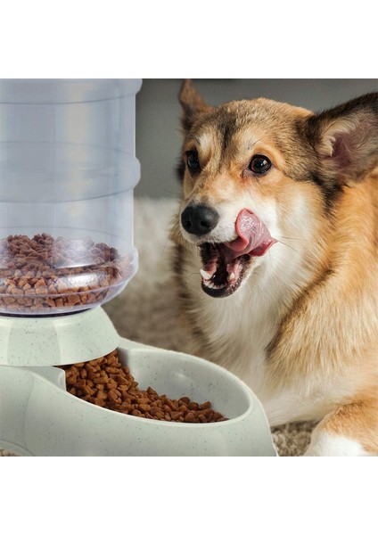 Mermer Gri Besleme Stili Köpek Kasesi Otomatik Su ve Yemlik Besleyici Kedi ve Köpekler Için Otomatik Su ve Yiyecek Dağıtıcı ve Kase Depolama (Yurt Dışından) indirimleri