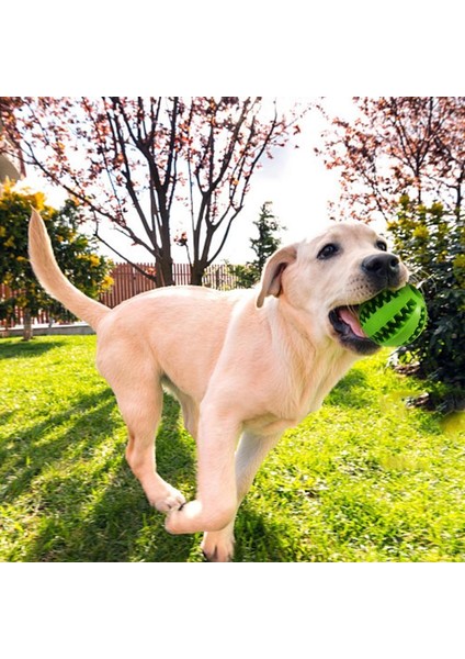 Kırmızı Stil Çap 4.8cm Köpek Oyuncak Top Diş Kaşıyıcı Dayanıklı Köpek Iq Oyuncağı Yavru Küçük Büyük Köpek Diş Temizliği Çiğneme Oynama Ödül Dağıtıcı (Yurt Dışından) fırsatları