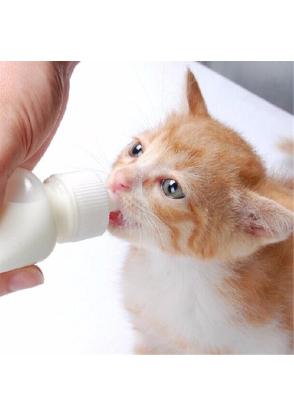 Boyut 2 Tarzı 50ML Yavru Kedi Köpek Bebek Emzirme Su Süt Şişesi Seti Temizleme Fırçası ile Yeni Doğan Kedi Içme Şişesi (Yurt Dışından) fırsatları