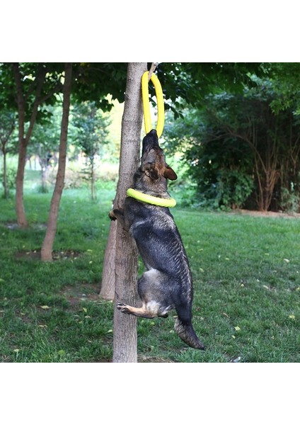 Kırmızı Stil 7cm Köpek Eğitim Halkası Çekiştirme Dayanıklı Isırık Yüzen Oyuncak Yavru Dış Mekan Etkileşimli Oyun Oynama Ürünleri Tedarik Evcil Hayvan Uçan Dm (Yurt Dışından)