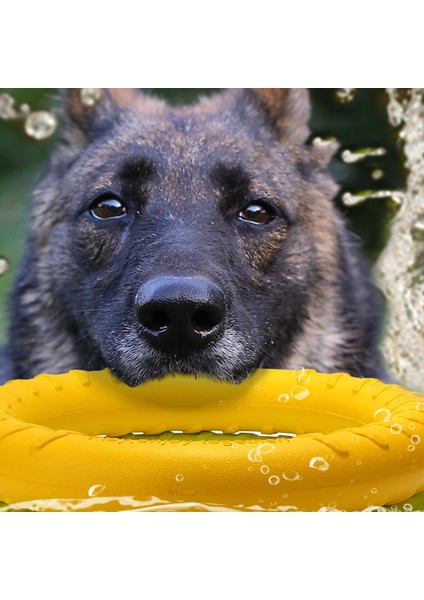 Kırmızı Stil 7cm Köpek Eğitim Halkası Çekiştirme Dayanıklı Isırık Yüzen Oyuncak Yavru Dış Mekan Etkileşimli Oyun Oynama Ürünleri Tedarik Evcil Hayvan Uçan Dm (Yurt Dışından)