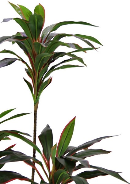 Yapay Drasena Ağacı Kırmızı 150 cm fiyatları