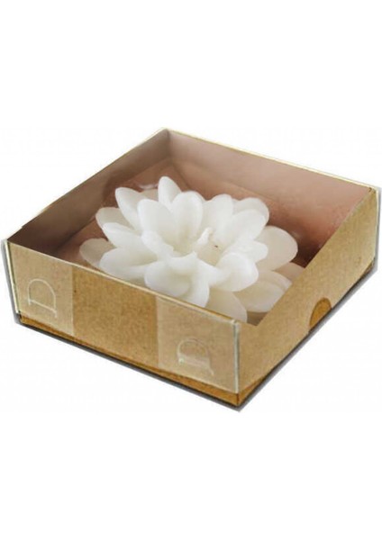 10 Adet Mum Nilüfer Kraft Naturel Kutulu Beyaz Pk:1