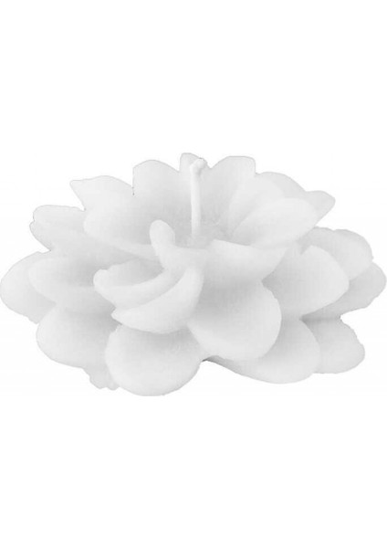 10 Adet Mum Nilüfer Kraft Naturel Kutulu Beyaz Pk:1 fiyatları