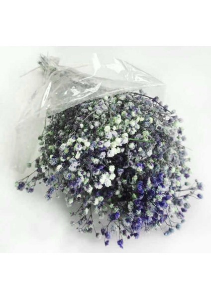 Çiçek Doğal Cipso Pk:50 gr Lacivert