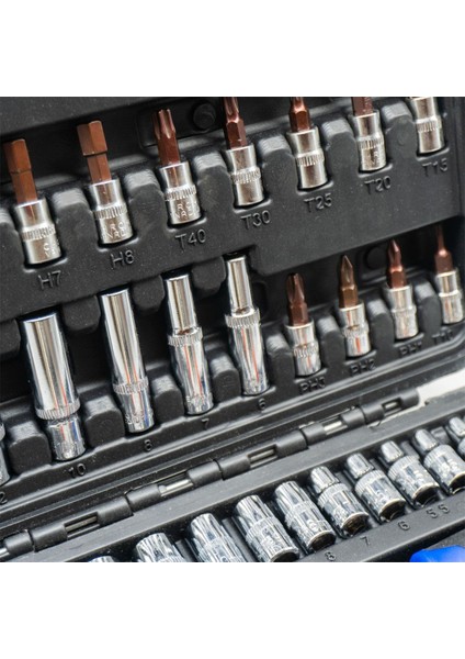 6202 Lokma ve Lokmalı Bits Uç Takımı 1/4" - 53 Parça