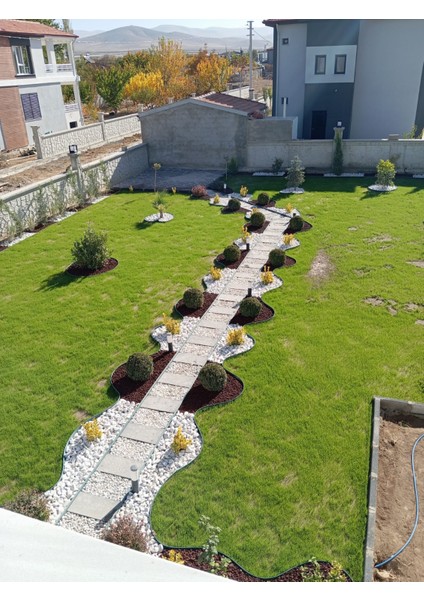 Çim Ayırıcı 25 M Yeşil Çim Sınırlayıcı Taş Toprak Ayıracı Çim Ayracı Çim Ayırıcı Bariyeri fırsatları