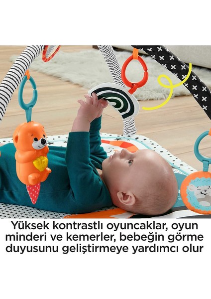 Fisher Price Neşeli Hayvanlar 3'ü 1 Arada Jimnastik Merkezi Oyun Halısı