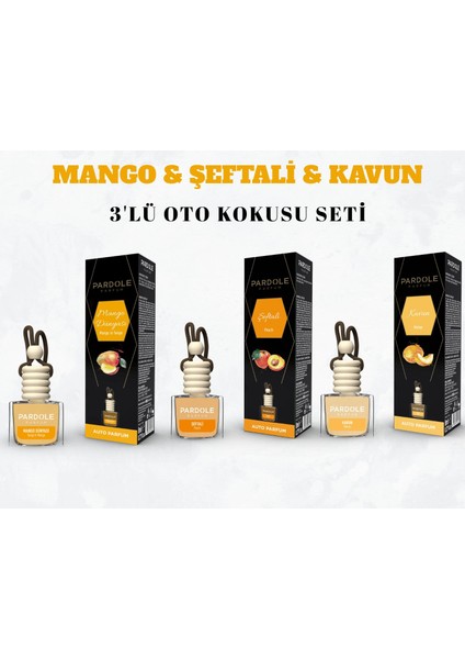 Araç Kokusu Oto Parfümü 3'lü Set - Mango, Kavun Şeftali -8 ml