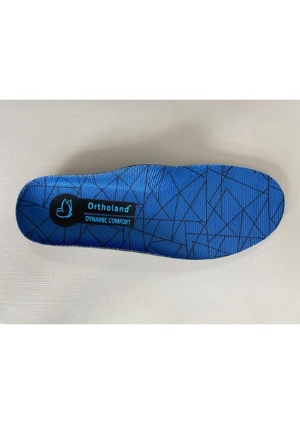 Dynamıc Tabanlık modelleri