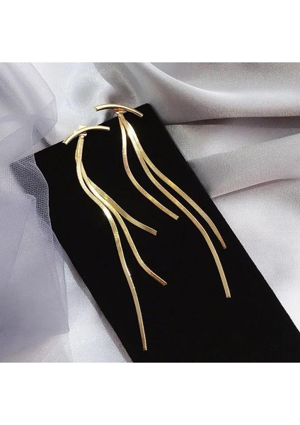 | Çelik Küpe | SNS301995