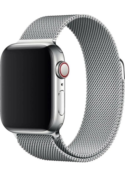 Apple Watch 38-40 mm Metal Kordon - Gümüş