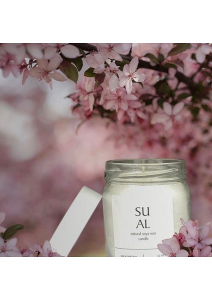 Soya Wax Mum Kiraz Çiçeği Kokulu Vegan 210 cc
