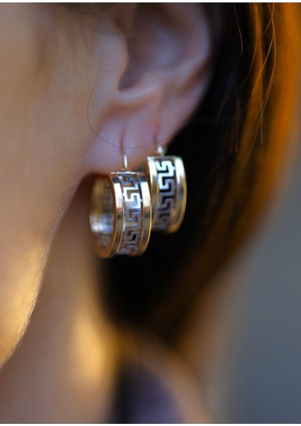 14 Ayar Altın Zikzak Model Halka Küpe fiyatları