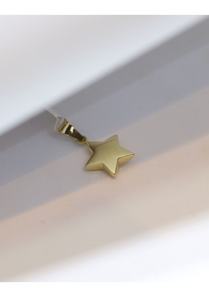 14 Ayar Altın Yıldız Kolye Ucu