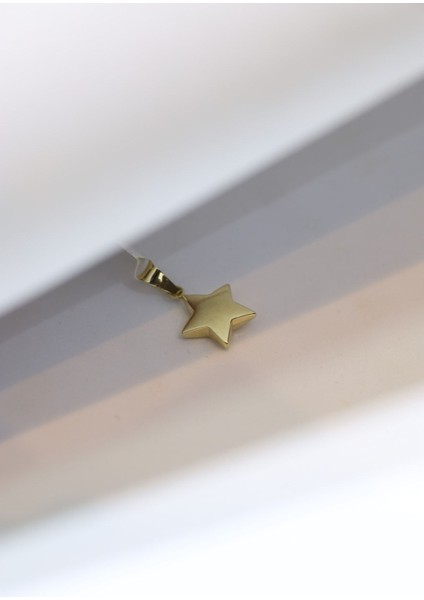 14 Ayar Altın Yıldız Kolye Ucu fiyatları