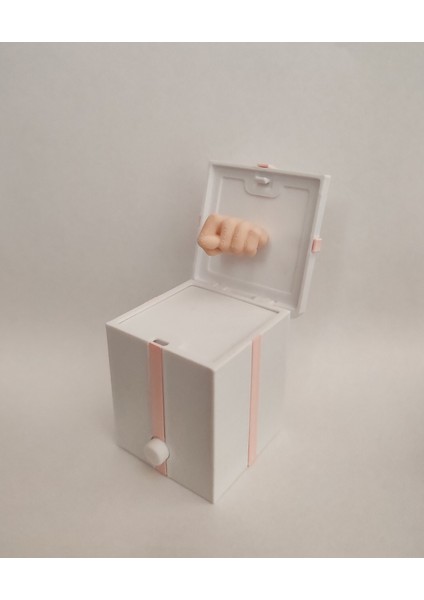 Sürpriz Hediye Kutusu (Nah Işareti)