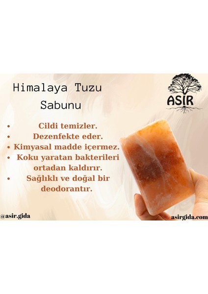 Asır Gıda Himalayatuz Sabunu