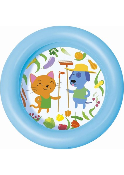 Havuz 2 Bolme Desenlı Zemın 61X51CM(36) Mavi