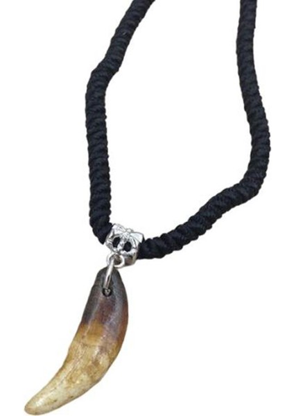 Doğal Tibet 3-4cm Kurt Dişi Kolye Brown Ayarlı Örgü Ip 2 Boncuk