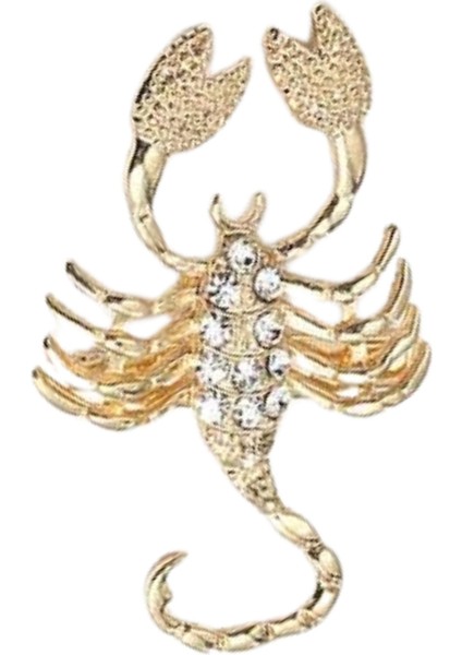 Mysticscorpio Akrep Broşu