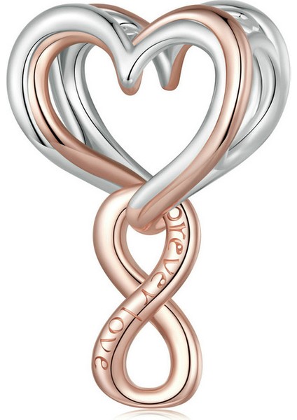 Pendant Charm Sonsuz Aşk Kalbi Kadınlar Için Karşılaştırılmış Farklı Bileklikler ve Kolye 925 Gümüş (Yurt Dışından)