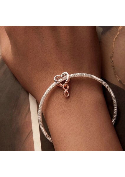 Pendant Charm Sonsuz Aşk Kalbi Kadınlar Için Karşılaştırılmış Farklı Bileklikler ve Kolye 925 Gümüş (Yurt Dışından) indirimleri