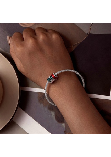 Pendant Charm Noel Arabası Kadınlar Için Karşılaştırılmış Farklı Bileklikler ve Kolye 925 Gümüş (Yurt Dışından) fırsatları